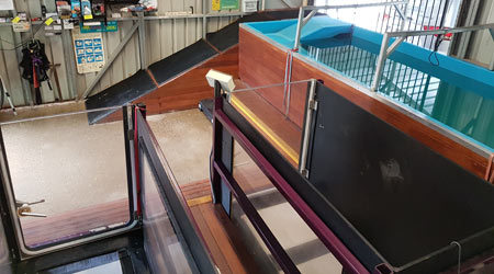 Dog Hydrotherapy: Aqua-Treadmill